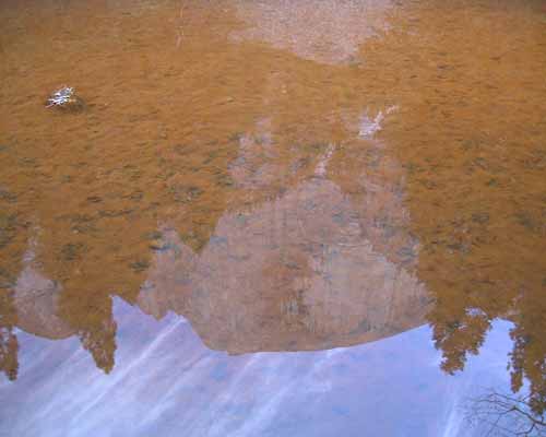 Half Dome Reflected